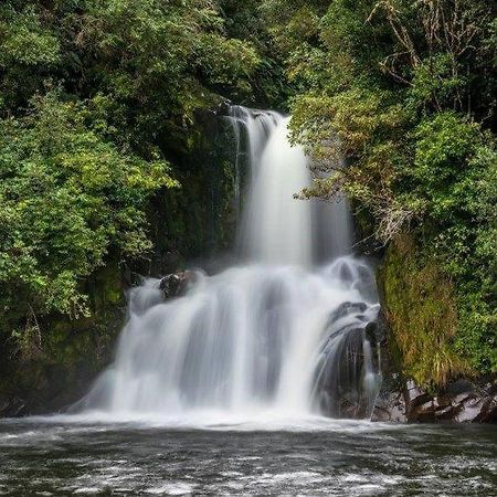 Blackfern Lodge Waimiha Bagian luar foto